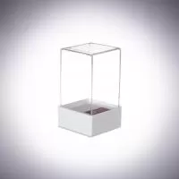 Cúpula Personalizada Cúpula Personalizada