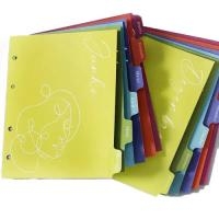 Divisória para fichário