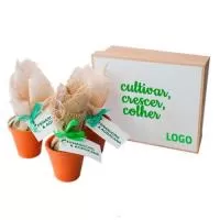Kit planta Personalizado Kit planta Personalizado