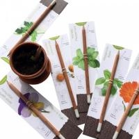 Lápis Semente Ecológico