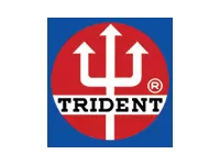 Trident Trident